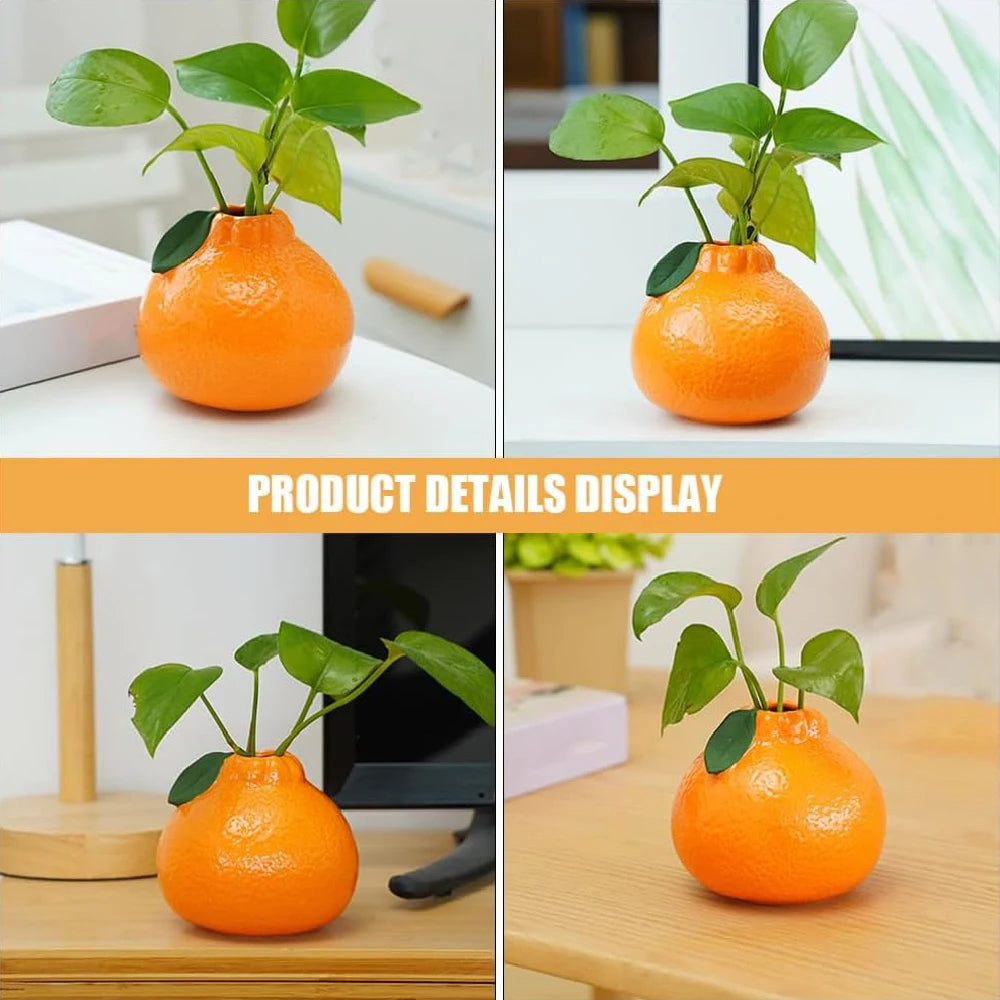 S0648f9ab53b84609865f68d9cd007deeR