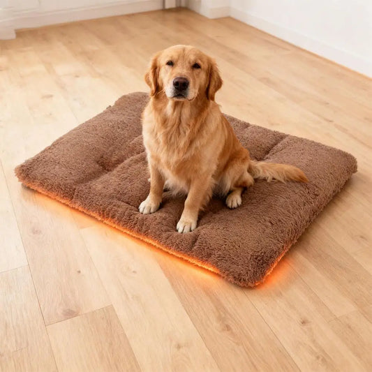 S3e527292ea894c47b364be93c690cfaaA