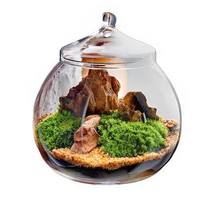 e77bc095-3dae-46ff-93b3-9c4661d6855a