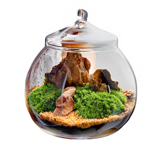 e77bc095-3dae-46ff-93b3-9c4661d6855a