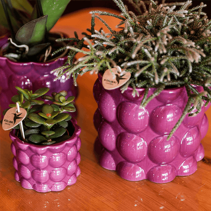 Übertopf Cotton Shine lila Ø6cm – Mini Blumentopf mit Blasenrelief – hochglänzender Retro – Übertopf im 70er – Design – Zimmerpflanzen