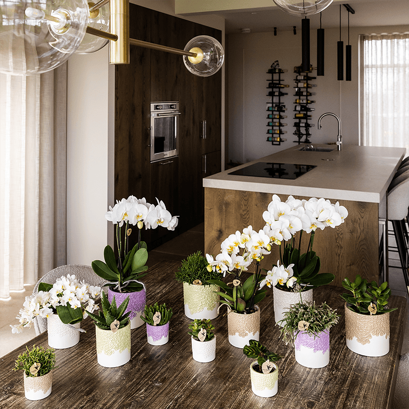 Ziertopf Bloom Sand Ø9cm – Dekotopf in Sandton mit Blütenrelief am Rand – kleiner Übertopf für Zimmerpflanzen, Ableger & Kräuter