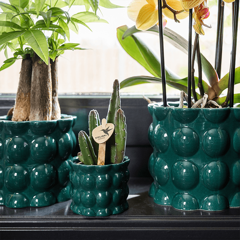 Übertopf Cotton Shine grün Ø6cm – Mini Blumentopf mit Blasenrelief – hochglänzender Retro – Übertopf im 70er – Design – Zimmerpflanzen
