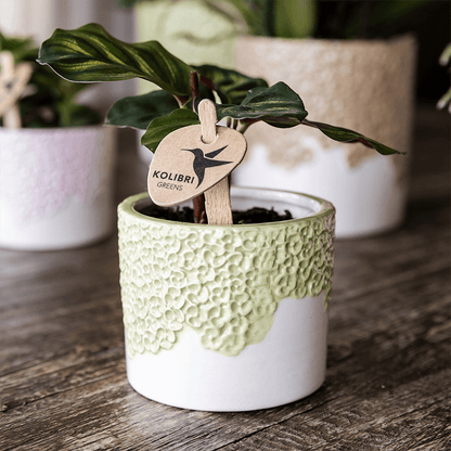 Ziertopf Bloom Green Ø9cm – Dekotopf in sanftem Grün mit Blütenrelief am Rand – kleiner Übertopf für Zimmerpflanzen, Ableger & Kräuter