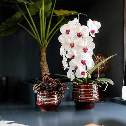 Übertopf Moonstone Burgundy Ø12cm – eleganter Keramik Blumentopf in Burgundrot – fein geschichtete Glasur mit dezentem Glanz