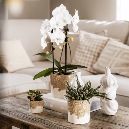Ziertopf Bloom Sand Ø9cm – Dekotopf in Sandton mit Blütenrelief am Rand – kleiner Übertopf für Zimmerpflanzen, Ableger & Kräuter