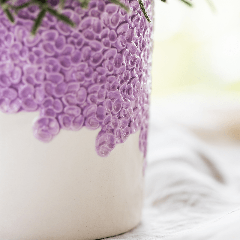 Violette Vienna Orchidee im Bloom Übertopf Ø9cm – blühende Zimmerpflanze frisch vom Züchter – kompakte Orchidee mit 2-3 kräftigen Stielen
