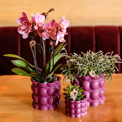 Übertopf Cotton Shine lila Ø6cm – Mini Blumentopf mit Blasenrelief – hochglänzender Retro-Übertopf im 70er-Design – Pflanzenübertopf für Sukkulenten, Kakteen & Mini-Zimmerpflanzen