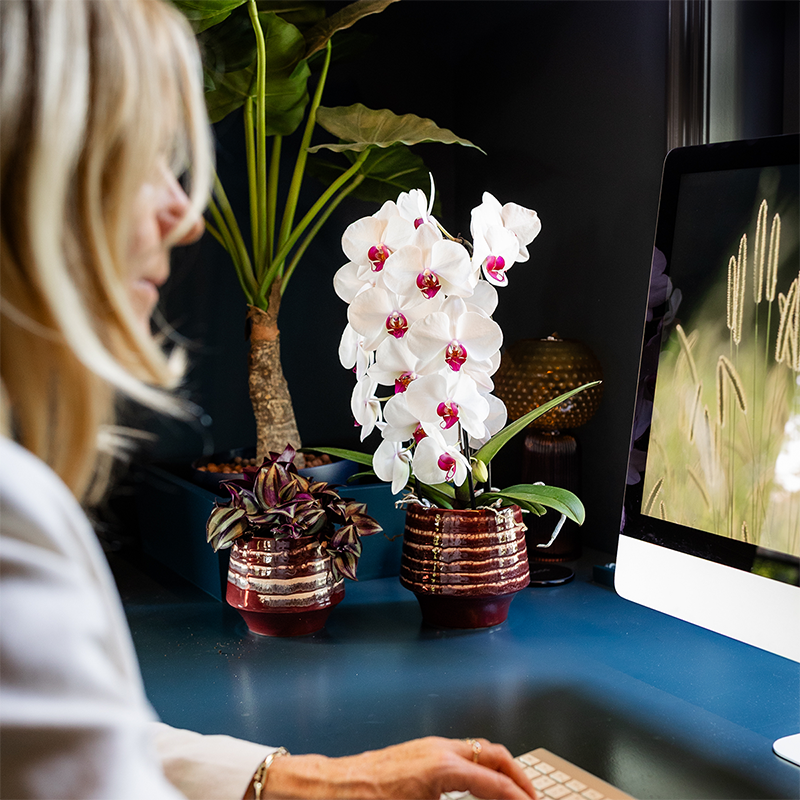 Übertopf Moonstone Burgundy Ø12cm – eleganter Keramik Blumentopf in Burgundrot – fein geschichtete Glasur mit dezentem Glanz – Hotel Chic Pflanzenübertopf für Zimmerpflanzen & Sukkulenten