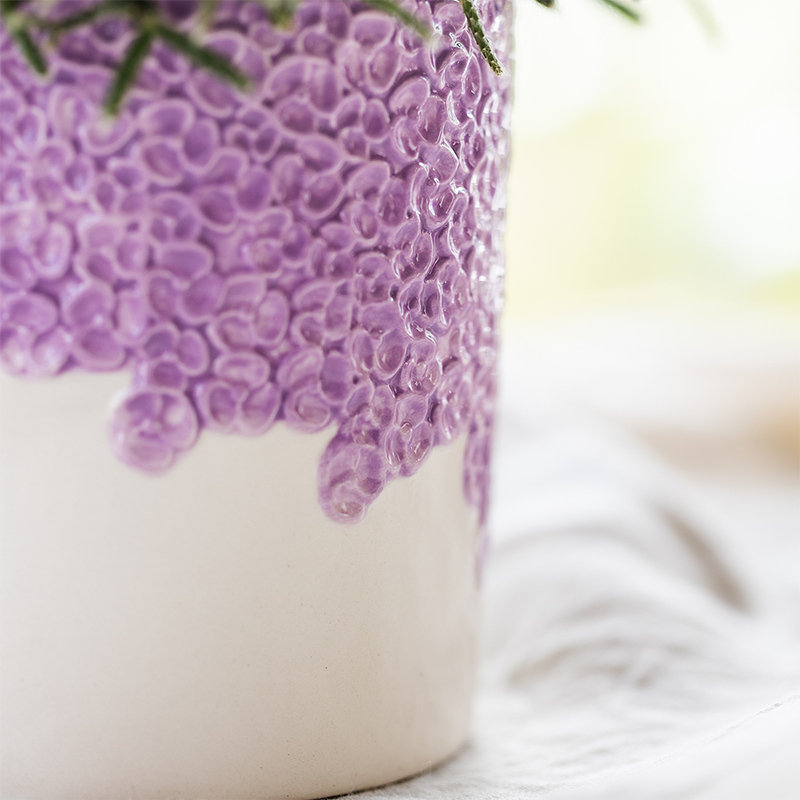 Violette Vienna Orchidee im Bloom Übertopf Ø9cm – blühende Zimmerpflanze frisch vom Züchter – kompakte Orchidee mit 2-3 kräftigen Stielen