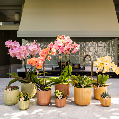 Dekotopf Flare ocker Ø12cm – Blumentopf mit Rillenmuster – runder Retro – Übertopf im 70er – Design