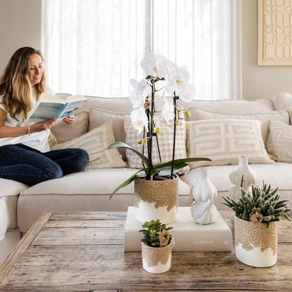 Geschenkset Bloom Sand – Weiße Lausanne Orchidee Ø9cm + Grünpflanze Ø6cm – Übertöpfe in Sandoptik mit Blütenrelief + weißes ovales Tablett – frische Zimmerpflanzen vom Züchter