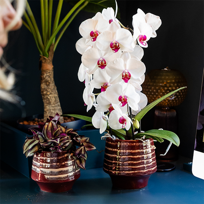 Übertopf Moonstone Burgundy Ø12cm – eleganter Keramik Blumentopf in Burgundrot – fein geschichtete Glasur mit dezentem Glanz – Hotel Chic Pflanzenübertopf für Zimmerpflanzen & Sukkulenten