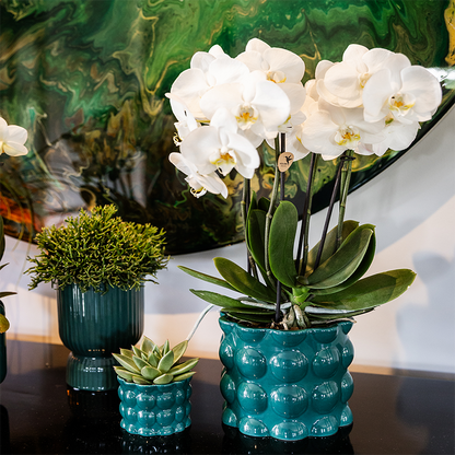 Übertopf Cotton Shine grün Ø12cm – Blumentopf mit Blasenrelief – hochglänzender Retro-Übertopf im 70er-Design – Pflanzenübertopf für Zimmerpflanzen, Sukkulenten & Kakteen