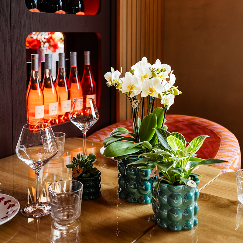 Übertopf Cotton Shine grün Ø6cm – Mini Blumentopf mit Blasenrelief – hochglänzender Retro-Übertopf im 70er-Design – Pflanzenübertopf für Sukkulenten, Kakteen & Mini-Zimmerpflanzen