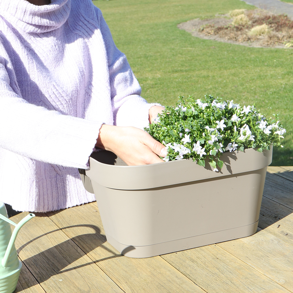 Campanula Addenda Ambella weiß 3er Set mit Balkonpflanzer taupe 36cm – Glockenblume weiß 12cm – inkl Aufhängesystem & Wasserreservoir