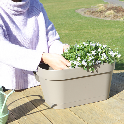 Campanula Addenda Ambella weiß 3er Set mit Balkonpflanzer taupe 36cm – Glockenblume weiß 12cm – inkl Aufhängesystem & Wasserreservoir