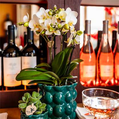 Übertopf Cotton Shine grün Ø6cm – Mini Blumentopf mit Blasenrelief – hochglänzender Retro-Übertopf im 70er-Design – Pflanzenübertopf für Sukkulenten, Kakteen & Mini-Zimmerpflanzen