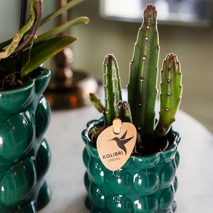 Übertopf Cotton Shine grün Ø6cm – Mini Blumentopf mit Blasenrelief – hochglänzender Retro-Übertopf im 70er-Design – Pflanzenübertopf für Sukkulenten, Kakteen & Mini-Zimmerpflanzen