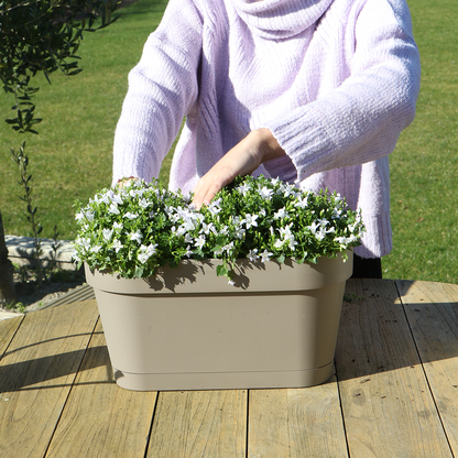 Campanula Addenda Ambella weiß 3er Set mit Balkonpflanzer taupe 36cm – Glockenblume weiß 12cm – inkl Aufhängesystem & Wasserreservoir