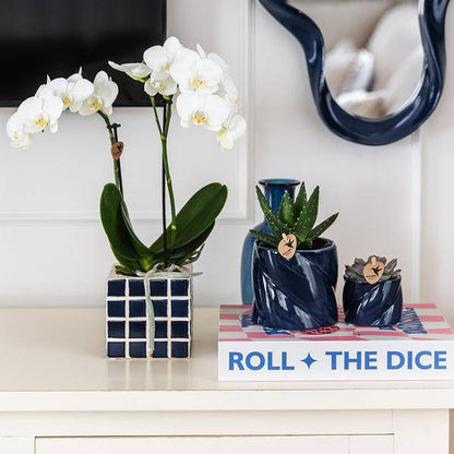 Candy Dekotopf Blau Ø9cm – runder Keramik Übertopf in frischem Blau – fröhliches Design für Orchideen & Zimmerpflanzen